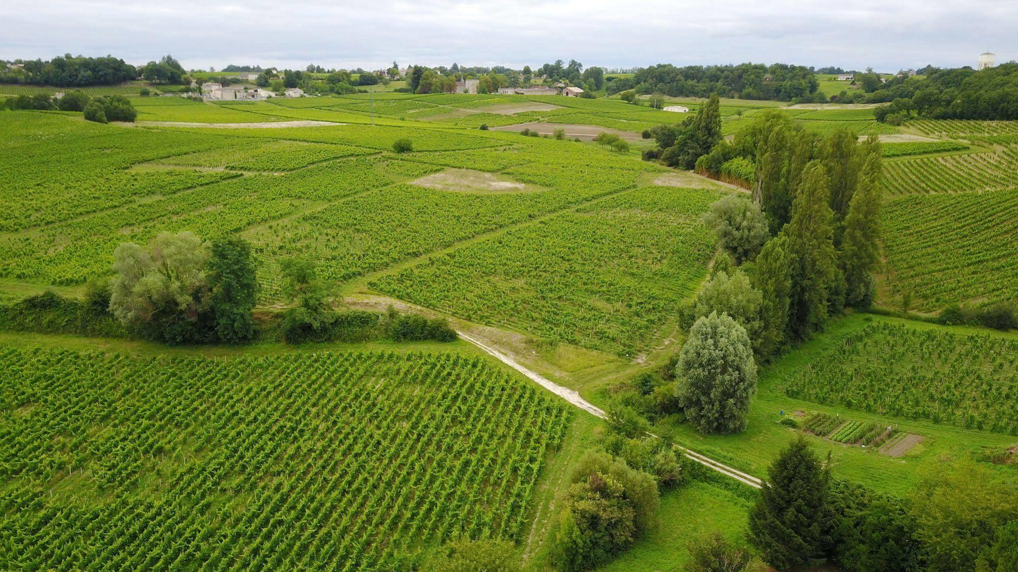 La Closerie De Fronsac Saint-Michel-de-Fronsac Ngoại thất bức ảnh